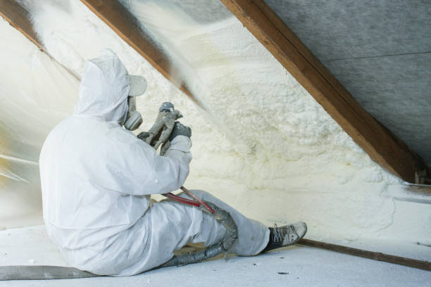 Types of Insulation We Offer in Florence Graham, CA