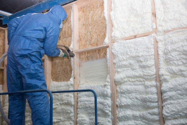 Best Basement Insulation in Florence Graham, CA